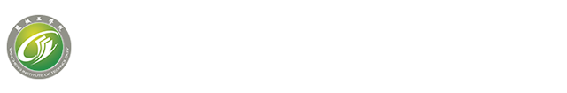 十大正规平台